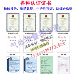 甲烷氣體濃度報警器與可燃氣體監控系統 網絡技術服務賦能工業安全新高度